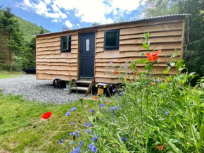 Empress En Suite Wagon, Arthog